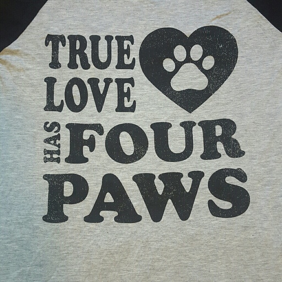 Color bear raglan tee animal lover made in USA - Picture 4 of 8